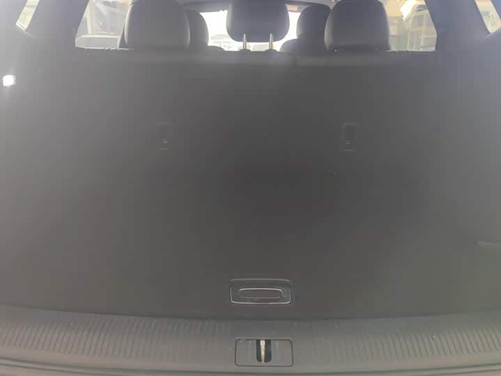 Фото 4 - Roewe RX5 Max