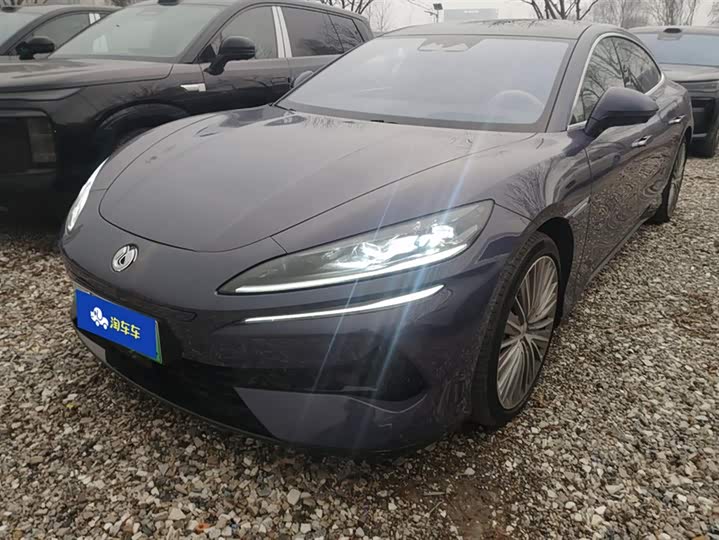 Фото 1 - Denza Z9