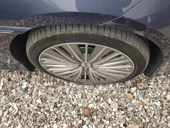 Фото 6 - Denza Z9