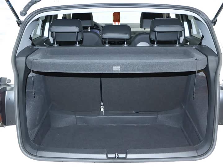 Фото 5 - Volkswagen Tacqua