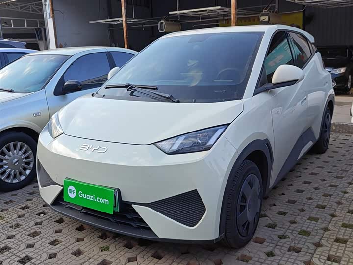 Фото 1 - BYD Seagull