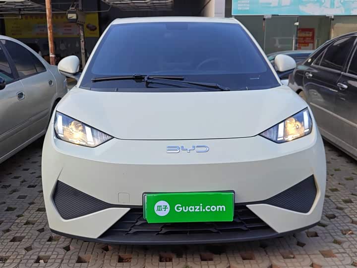 Фото 3 - BYD Seagull