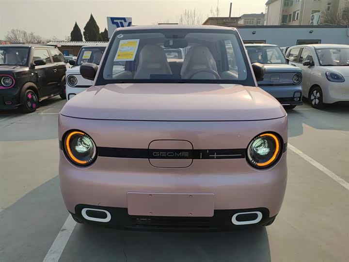 Фото 3 - Geely Galaxy Panda Mini