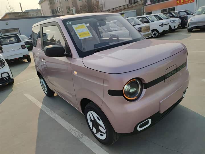 Фото 4 - Geely Galaxy Panda Mini