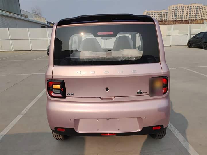 Фото 6 - Geely Galaxy Panda Mini