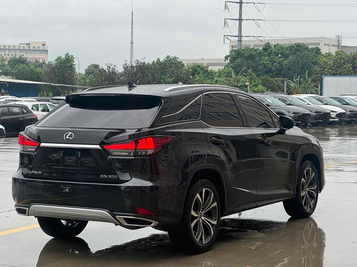 Фото 9 - Lexus RX