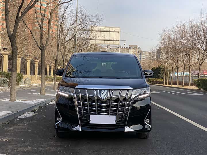 Фото 8 - Toyota Alphard
