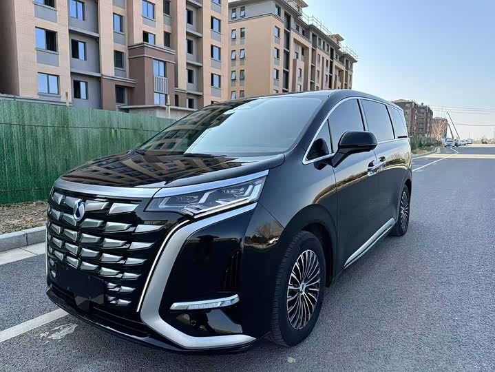 Фото 1 - Denza D9