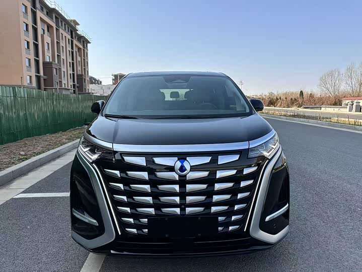 Фото 2 - Denza D9