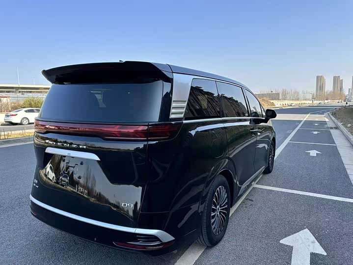 Фото 9 - Denza D9