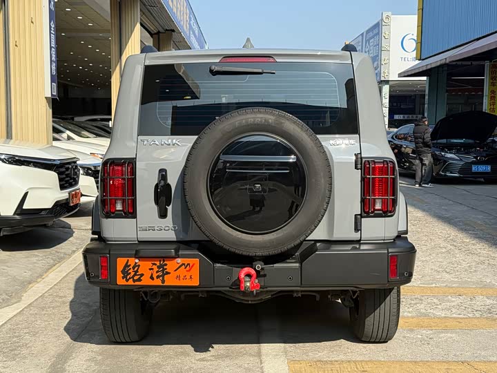 Фото 4 - Tank 300