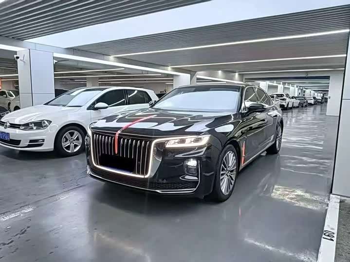 Фото 1 - Hongqi H9