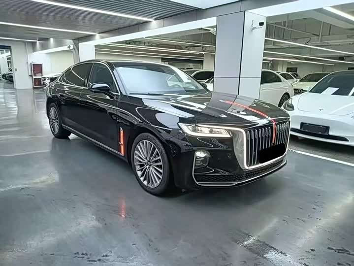 Фото 3 - Hongqi H9