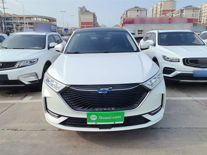 Фото 3 - Changan Oshan X7