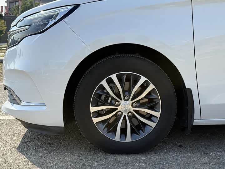 Фото 3 - Buick GL8 ES