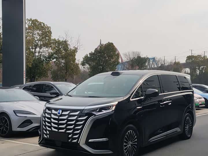 Фото 1 - Denza D9