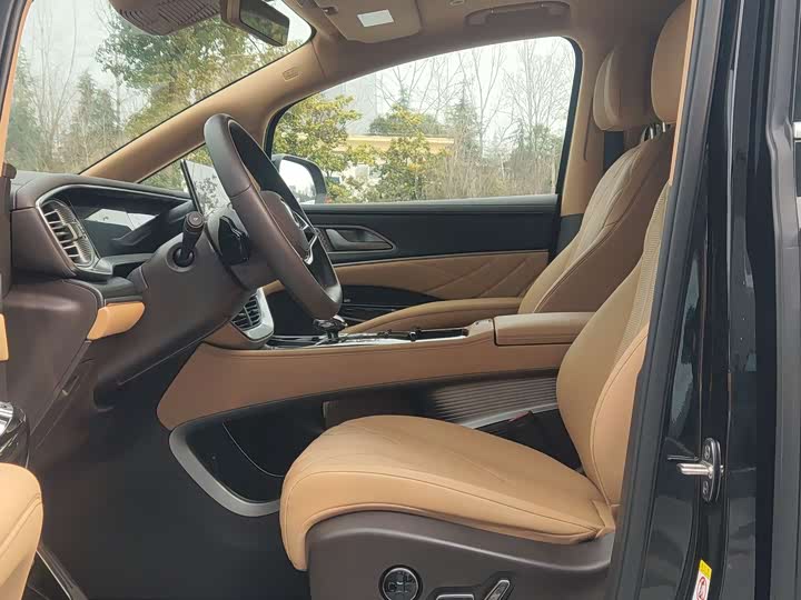 Фото 8 - Denza D9