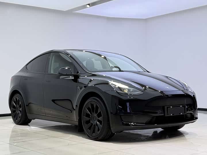 Фото 2 - Tesla Model Y