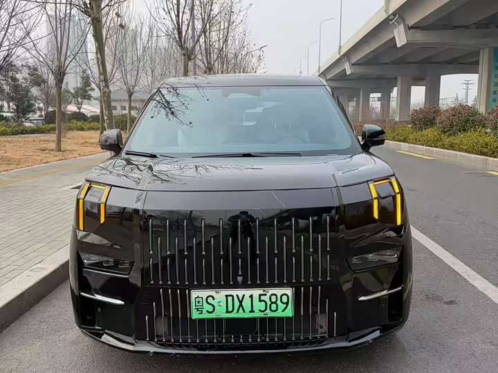 Фото 1 - Zeekr 009