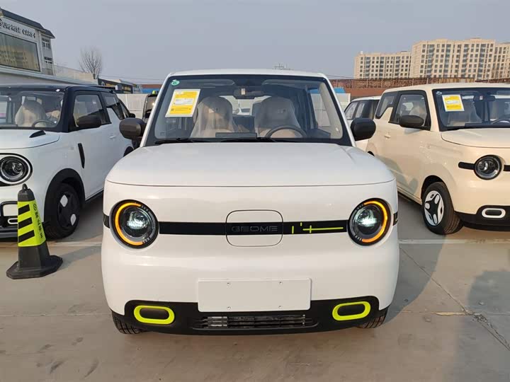 Фото 3 - Geely Galaxy Panda Mini