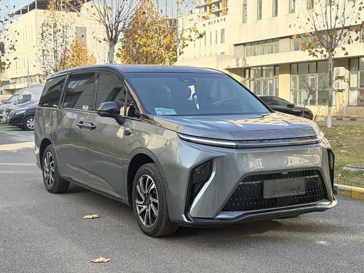 Фото 3 - Maxus Mifa 9