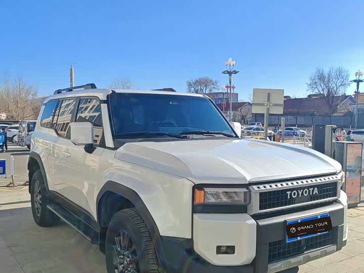 Фото 9 - Toyota Prado