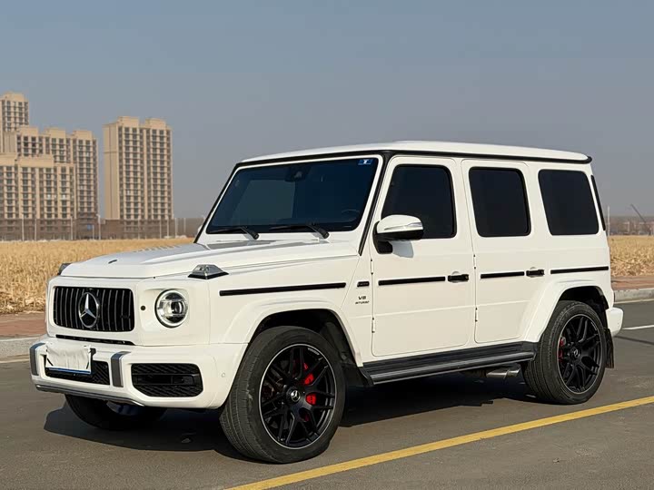 Фото 1 - Mercedes-Benz G-Class