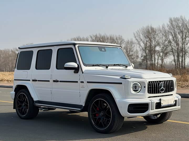 Фото 3 - Mercedes-Benz G-Class