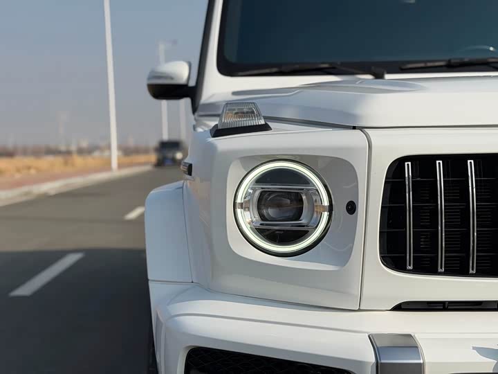 Фото 6 - Mercedes-Benz G-Class