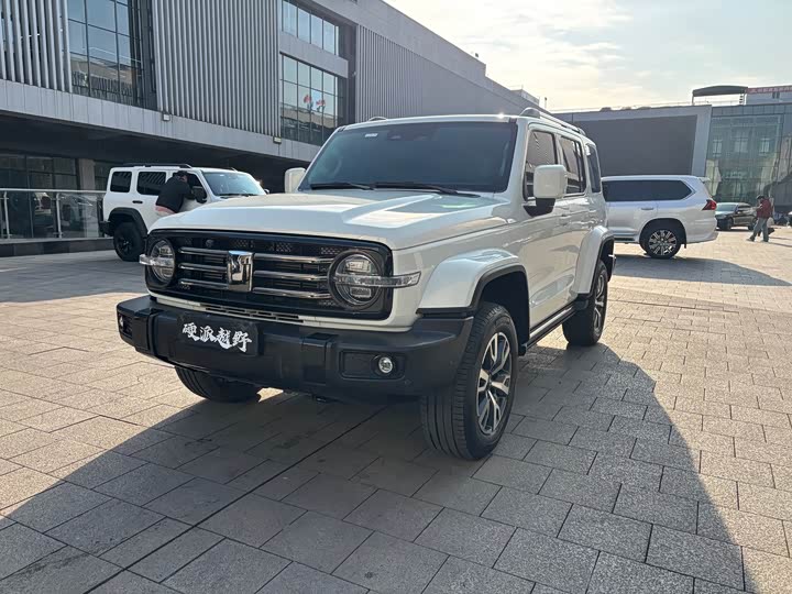 Фото 1 - Tank 300