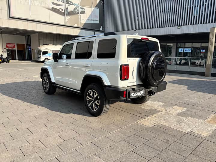 Фото 4 - Tank 300