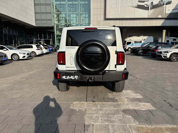 Фото 5 - Tank 300