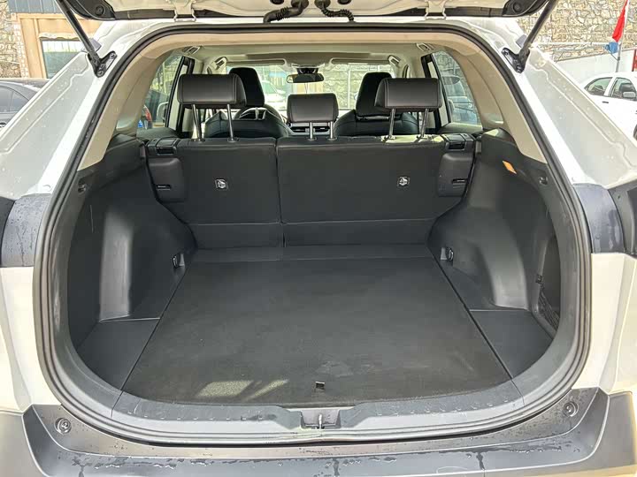 Фото 6 - Toyota Wildlander