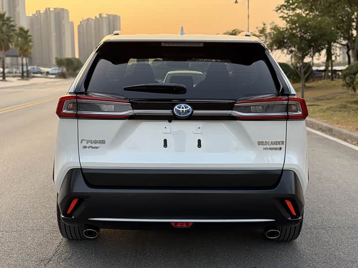 Фото 4 - Toyota Wildlander