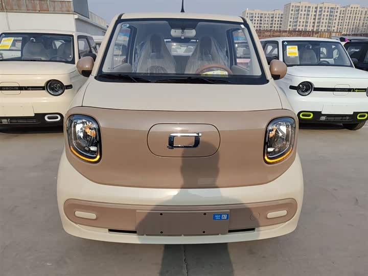 Фото 3 - Bestune Pony