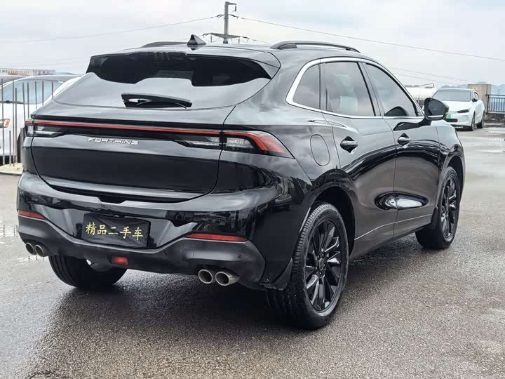 Фото 9 - Dongfeng Forthing T5 EVO