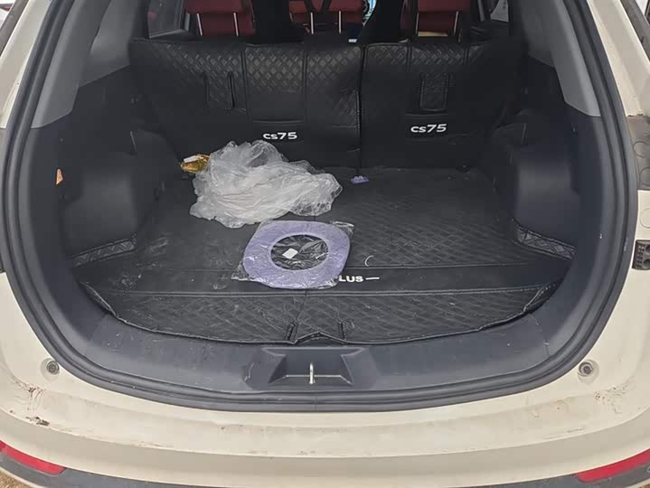 Фото 4 - Changan CS75 Plus