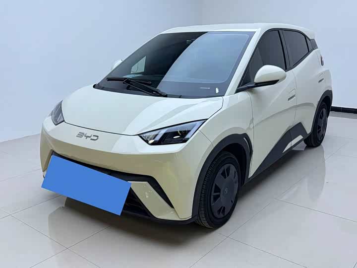 Фото 1 - BYD Seagull