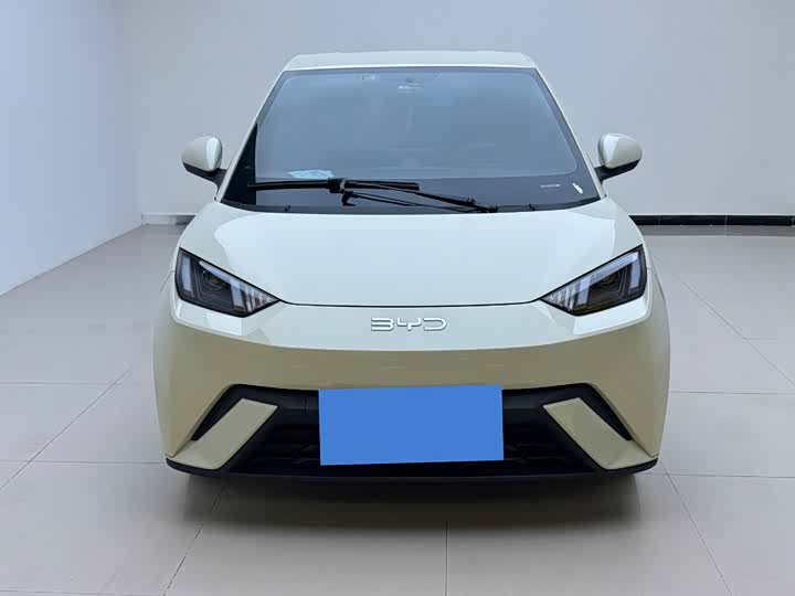 Фото 2 - BYD Seagull