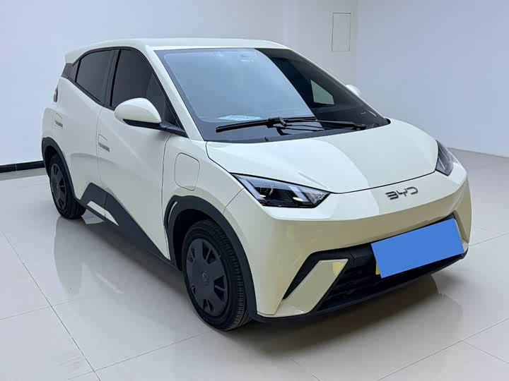 Фото 3 - BYD Seagull