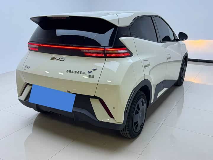 Фото 4 - BYD Seagull