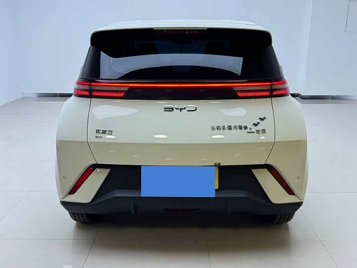 Фото 5 - BYD Seagull