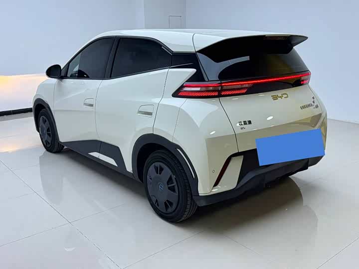 Фото 6 - BYD Seagull