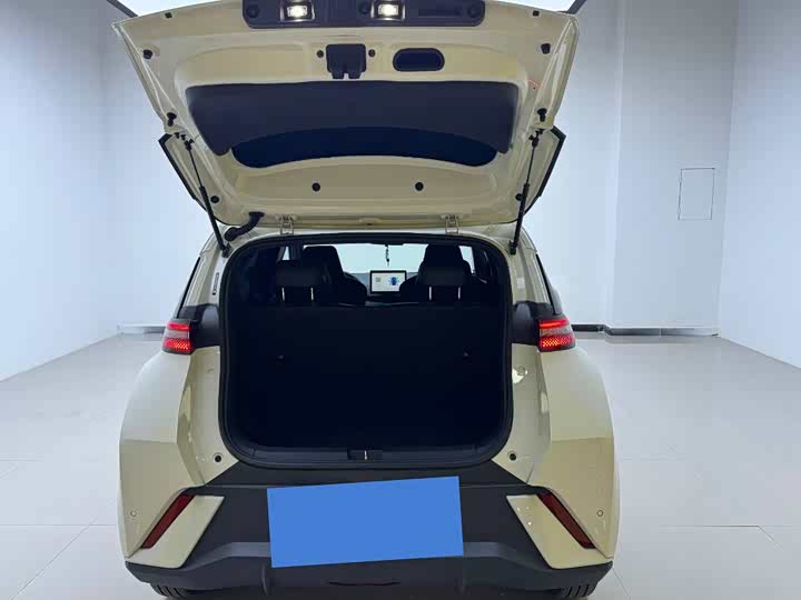 Фото 9 - BYD Seagull