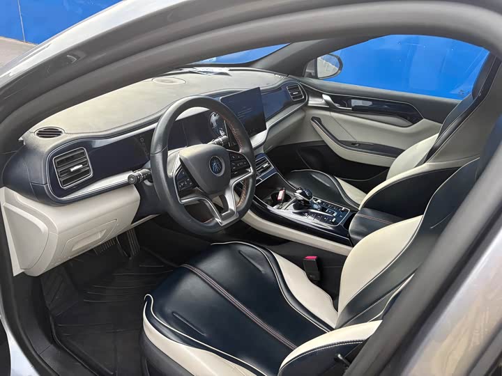 Фото 4 - BYD Qin Plus