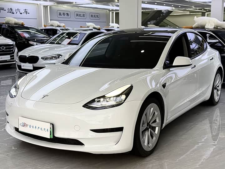 Фото 1 - Tesla Model 3