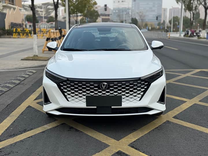 Фото 2 - Changan Raeton Plus