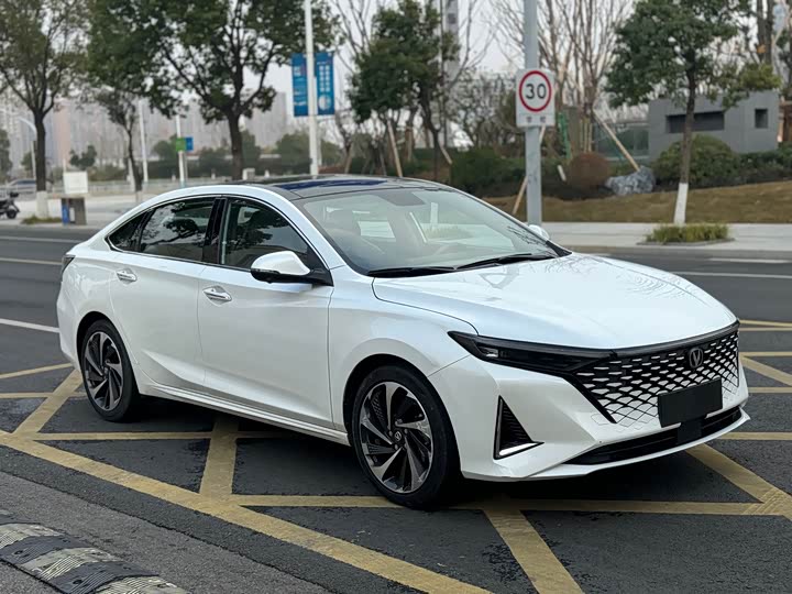 Фото 3 - Changan Raeton Plus