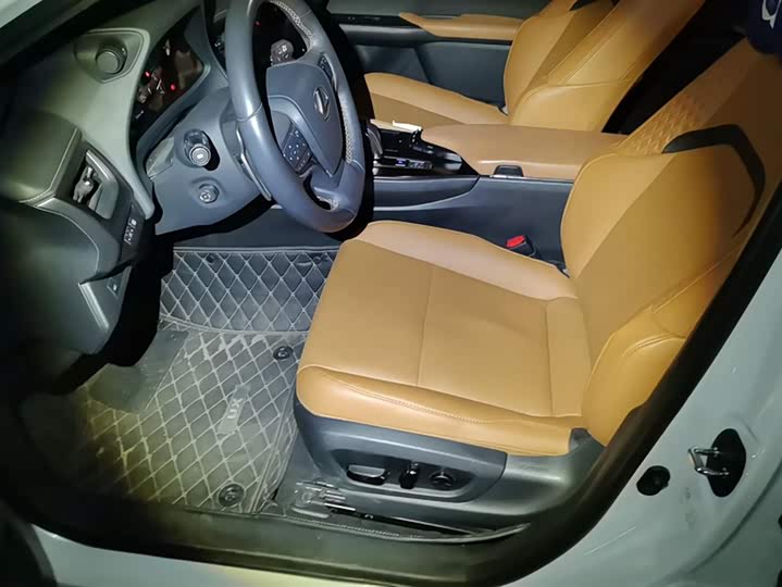 Фото 9 - Lexus UX Hybrid