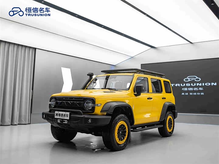 Фото 3 - Tank 300